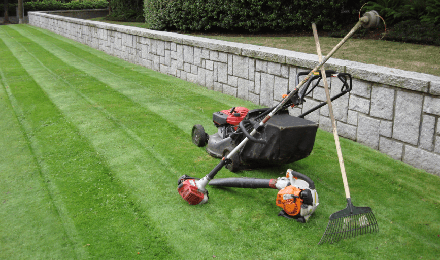 LAWN MOWING